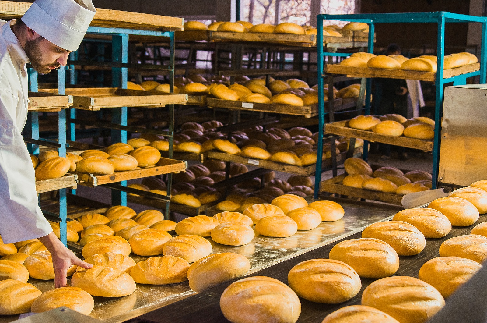 adult with autism working in Chicago bakery