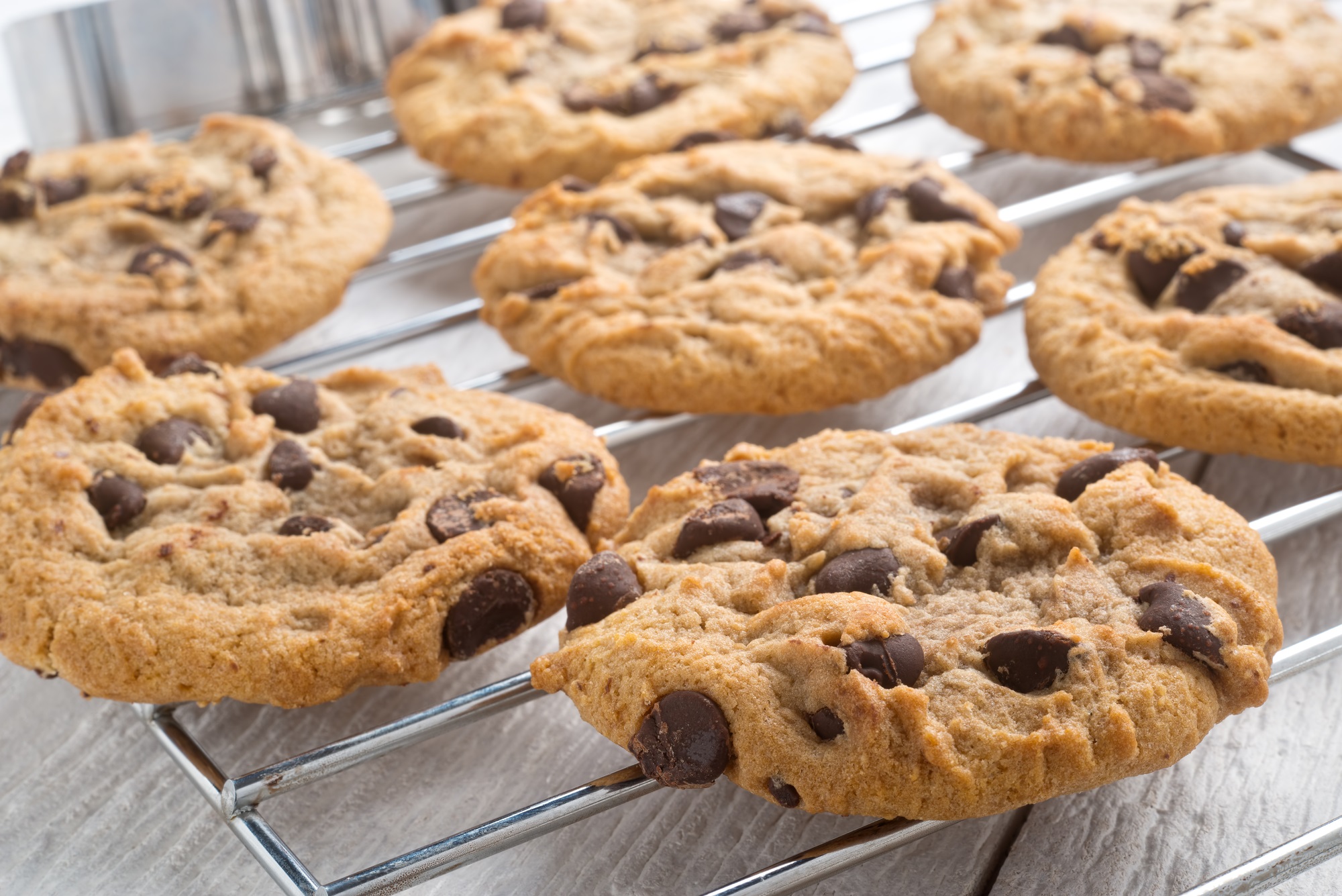 cookies by autistic kid in Chicago