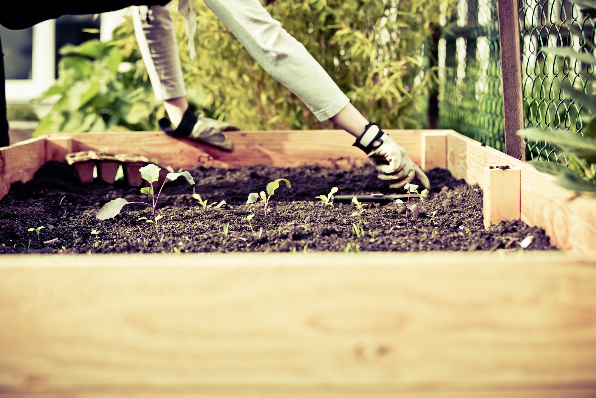 Autism friendly urban farming in Chicago IL